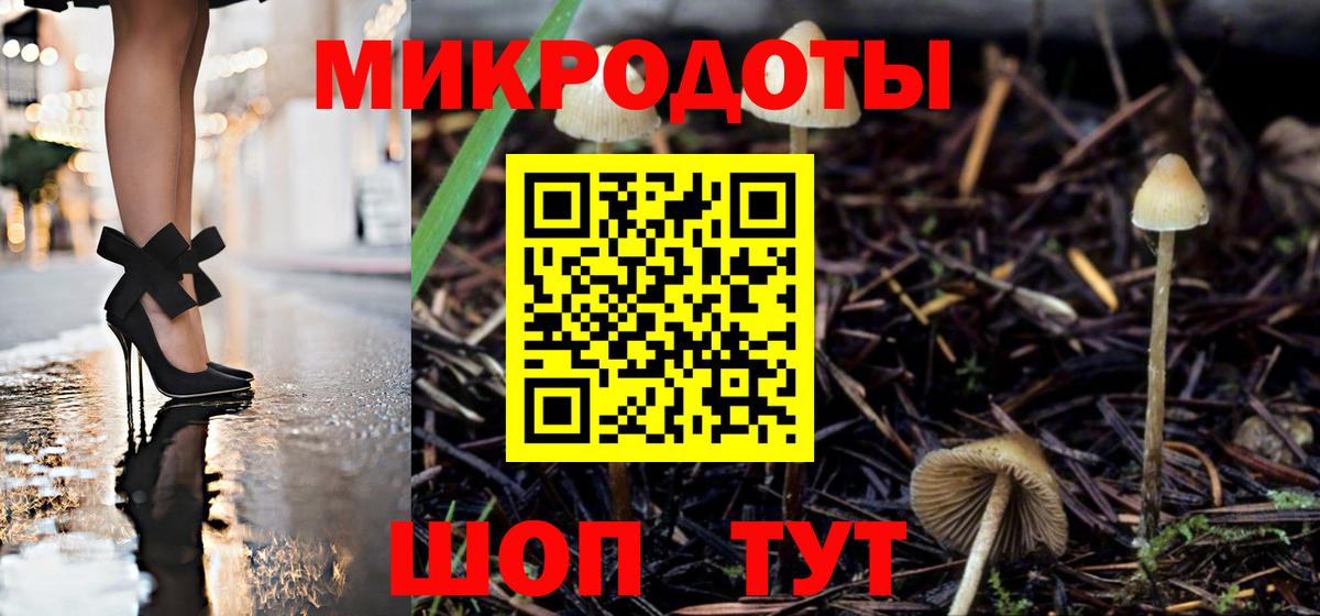Псилоцибиновые грибы Psilocybe  Галлюциногенные грибы MAGIC MUSHROOMS  наркотики  Ипатово  Вход с VPN 